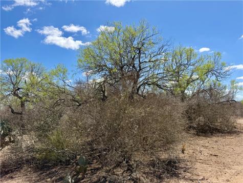 0 County Road 103 San Diego TX 78334
