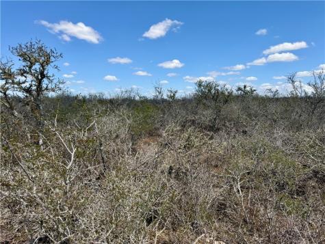 0 County Road 103 San Diego TX 78334