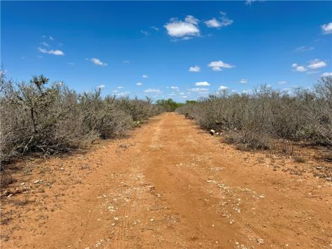 0 County Road 103 San Diego TX 78334