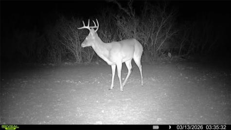 0 County Road 103 San Diego TX 78334
