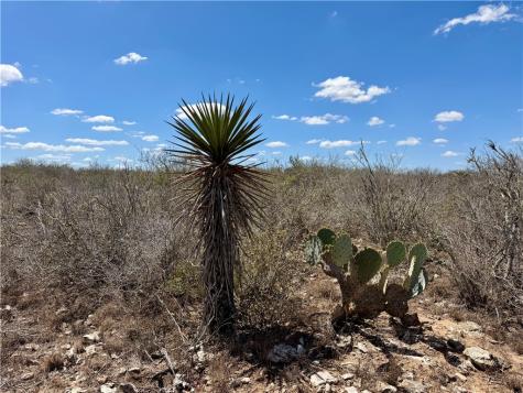 0 County Road 103 San Diego TX 78334