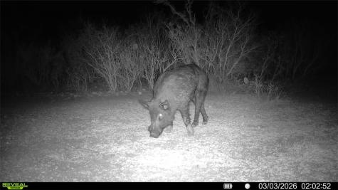 0 County Road 103 San Diego TX 78334