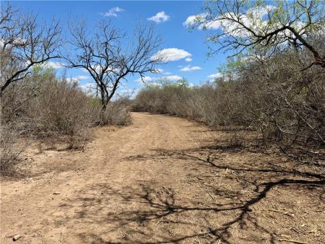 0 County Road 103 San Diego TX 78334