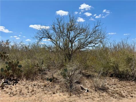 0 County Road 103 San Diego TX 78334