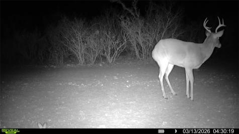 0 County Road 103 San Diego TX 78334