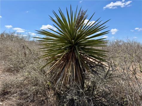 0 County Road 103 San Diego TX 78334