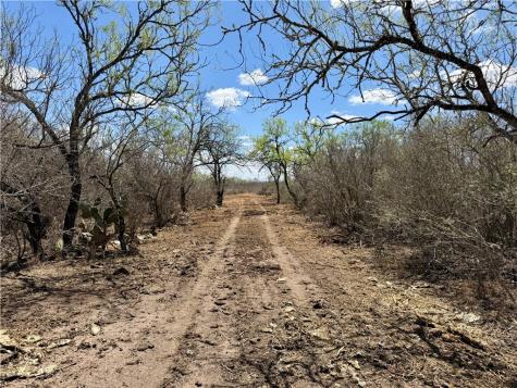0 County Road 103 San Diego TX 78334