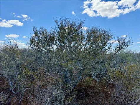 0 County Road 103 San Diego TX 78334