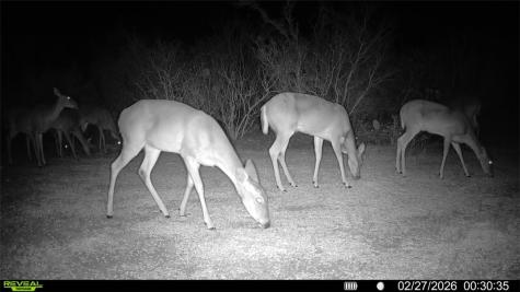 0 County Road 103 San Diego TX 78334