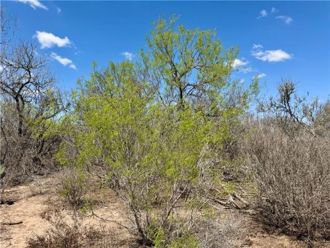 0 County Road 103 San Diego TX 78334