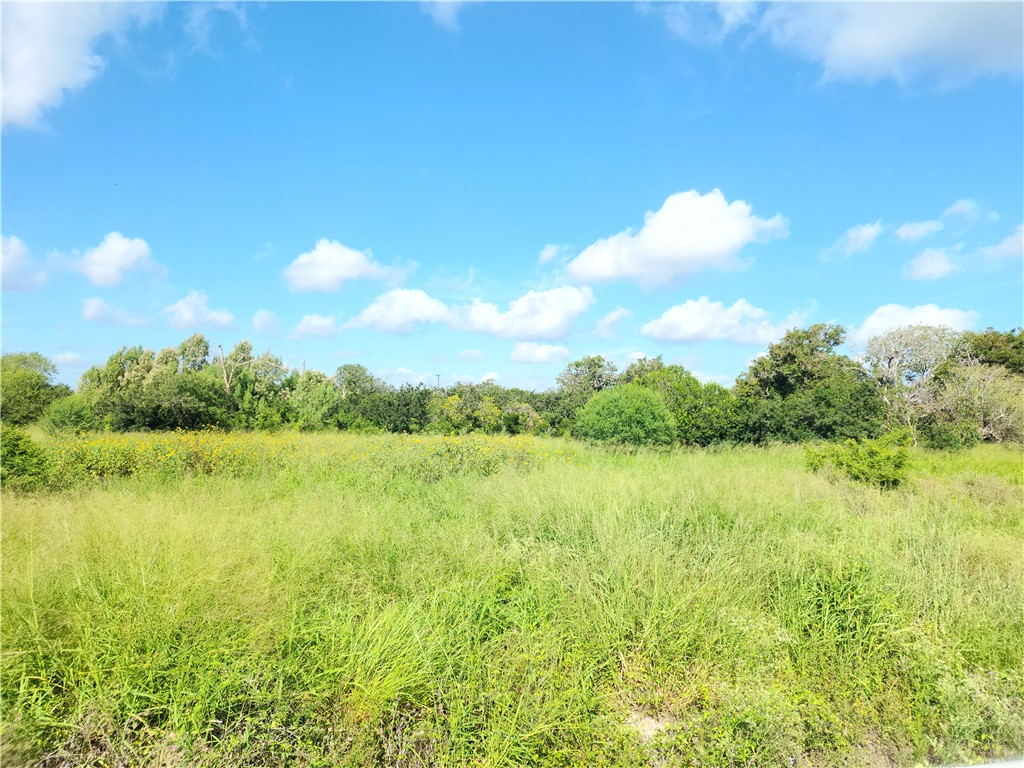 00 County Road 2095 Odem TX 78370