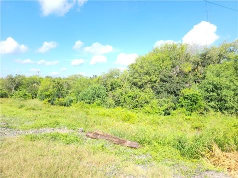 00 County Road 2095 Odem TX 78370