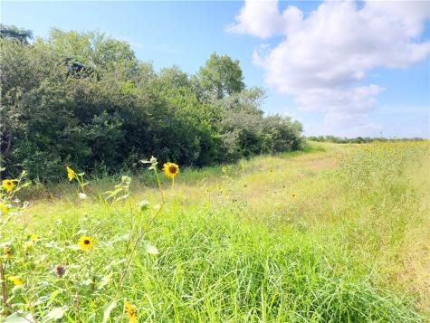 00 County Road 2095 Odem TX 78370