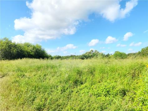 00 County Road 2095 Odem TX 78370