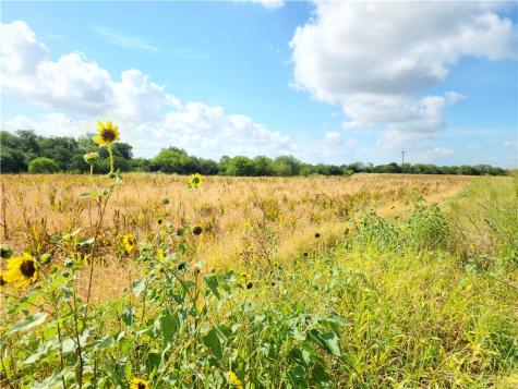 00 County Road 2095 Odem TX 78370