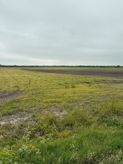 0000 S Highway 77 Kingsville TX 78363