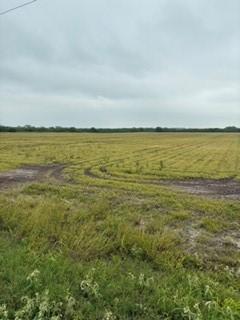 0000 S Highway 77 Kingsville TX 78363