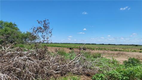 000 Us-281 Falfurrias TX 78355