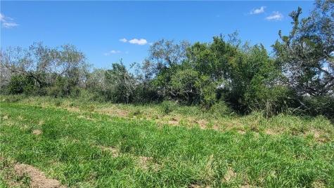 000 Us-281 Falfurrias TX 78355