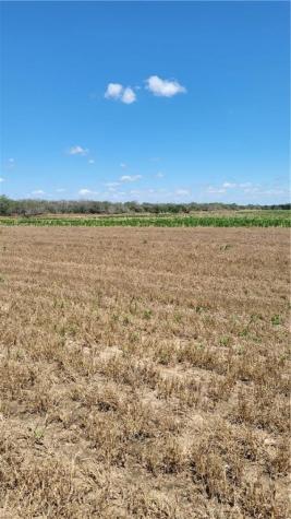 000 Us-281 Falfurrias TX 78355