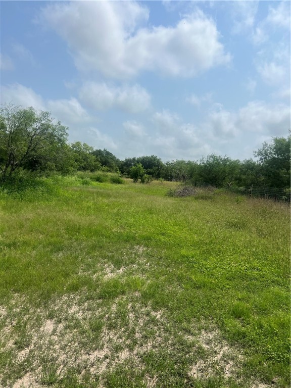 12781 County Road 1296 Sinton TX 78387