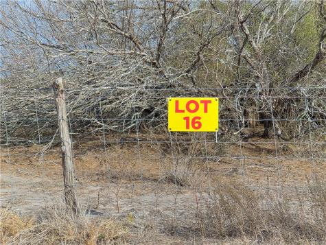 Lot 16 2180 County Road E Kingsville TX 78363