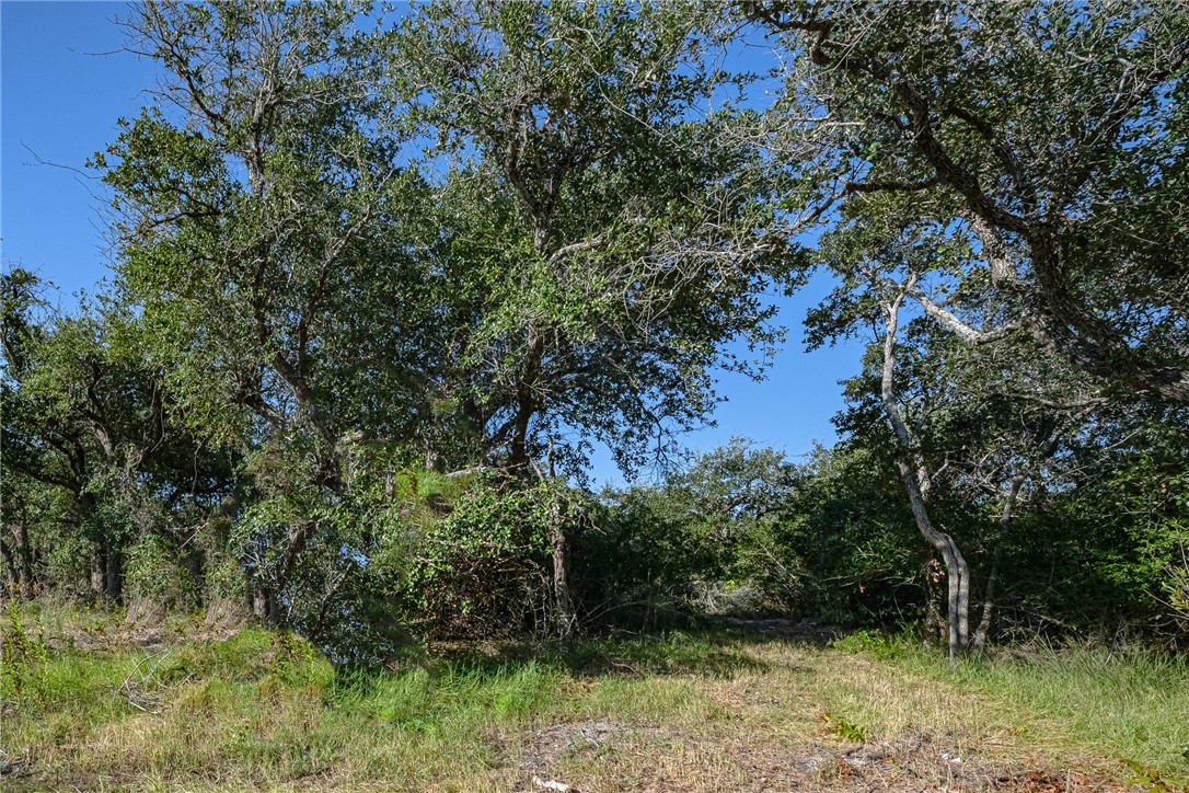 1501 Prairie Rockport TX 78382