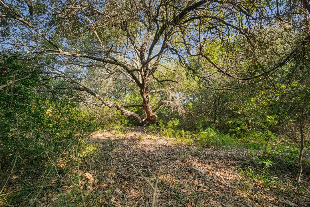 1501 Prairie Rockport TX 78382