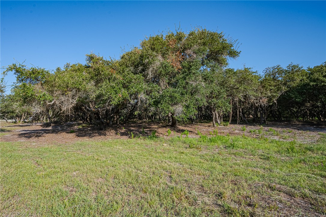 1501 Prairie Rockport TX 78382