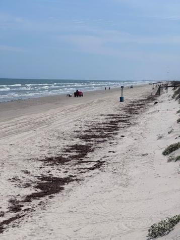 130 Sea Bird Lane Port Aransas TX 78373