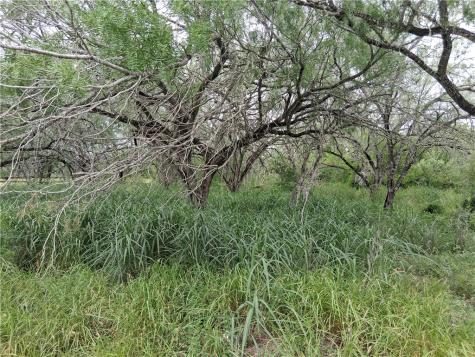 0 Swinney Switch Shores Road Mathis TX 78368
