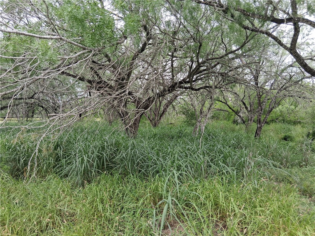 0 Swinney Switch Shores Road Mathis TX 78368
