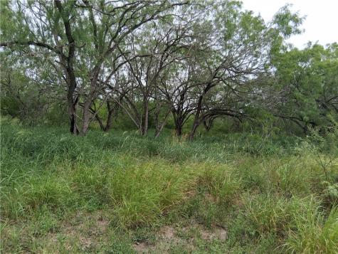 0 Swinney Switch Shores Road Mathis TX 78368
