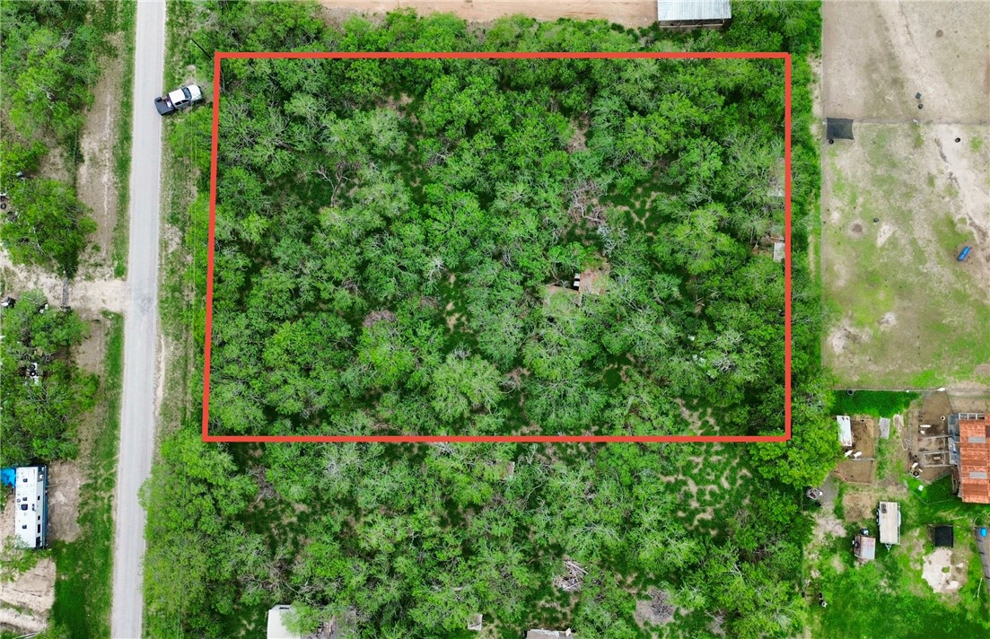 Tbd E Cr 2206 Kingsville TX 78363