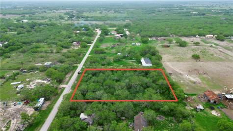 Tbd E Cr 2206 Kingsville TX 78363