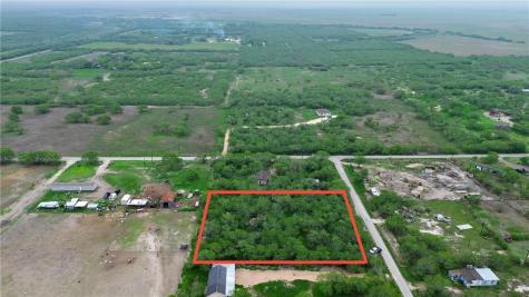 Tbd E Cr 2206 Kingsville TX 78363