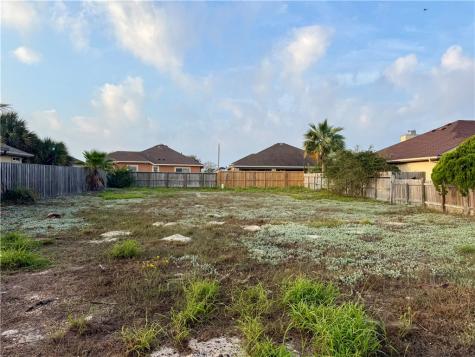 14229 Natal Plum Drive Corpus Christi TX 78418