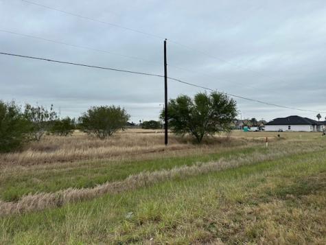 Point 1 E General Cavazos Boulevard Kingsville TX 78363