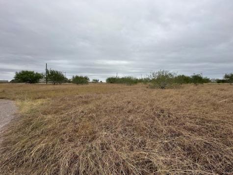 Point 1 E General Cavazos Boulevard Kingsville TX 78363