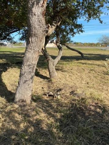 6525 Highway 35 N Rockport TX 78382