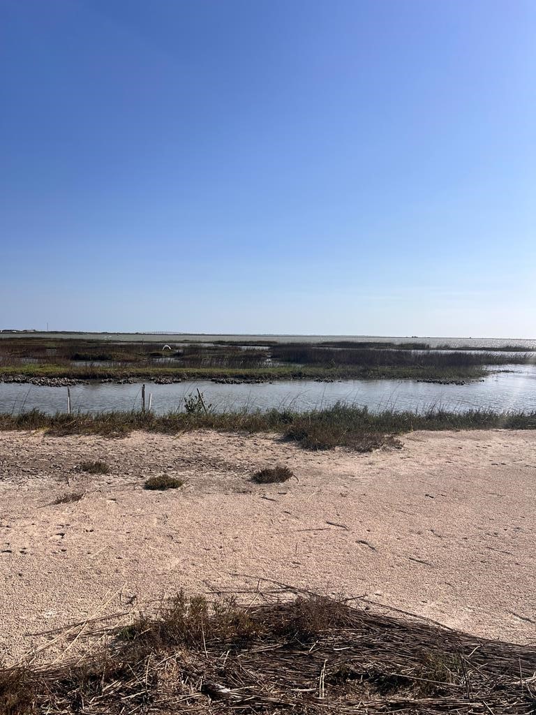74 Newcomb Bend Loop Rockport TX 78382