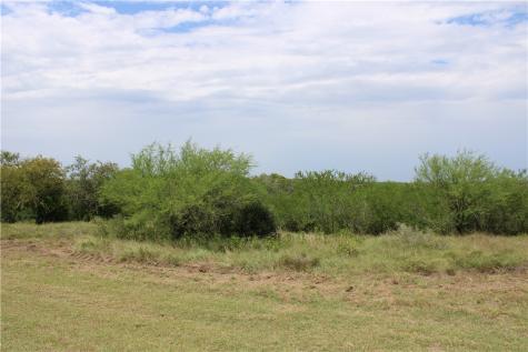 0 Lot 9 Vista Fina Drive Sandia TX 78383