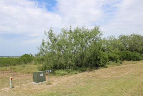 0 Lot 9 Vista Fina Drive Sandia TX 78383