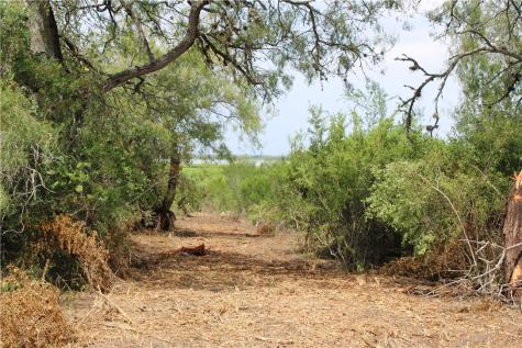 0 Lot 9 Vista Fina Drive Sandia TX 78383