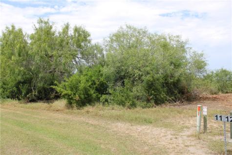 0 Lot 9 Vista Fina Drive Sandia TX 78383