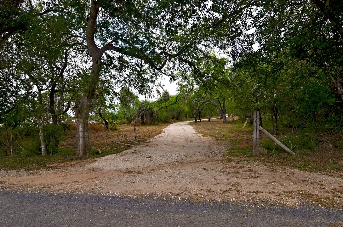 101 Alfredo Floresville TX 78114
