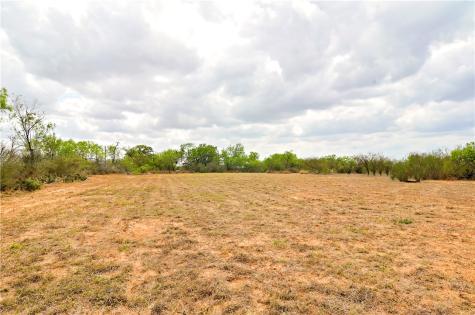 101 Alfredo Floresville TX 78114