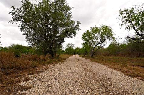 101 Alfredo Floresville TX 78114