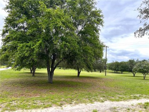 107 Lago Drive Sandia TX 78383