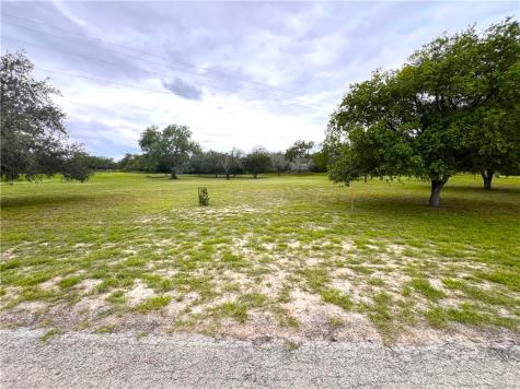 107 Lago Drive Sandia TX 78383